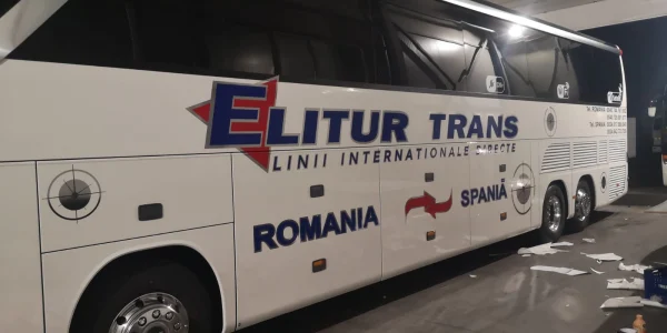 Decorări auto 10 Decorari auto